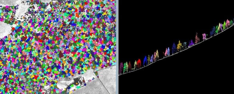 Tree LiDAR Survey